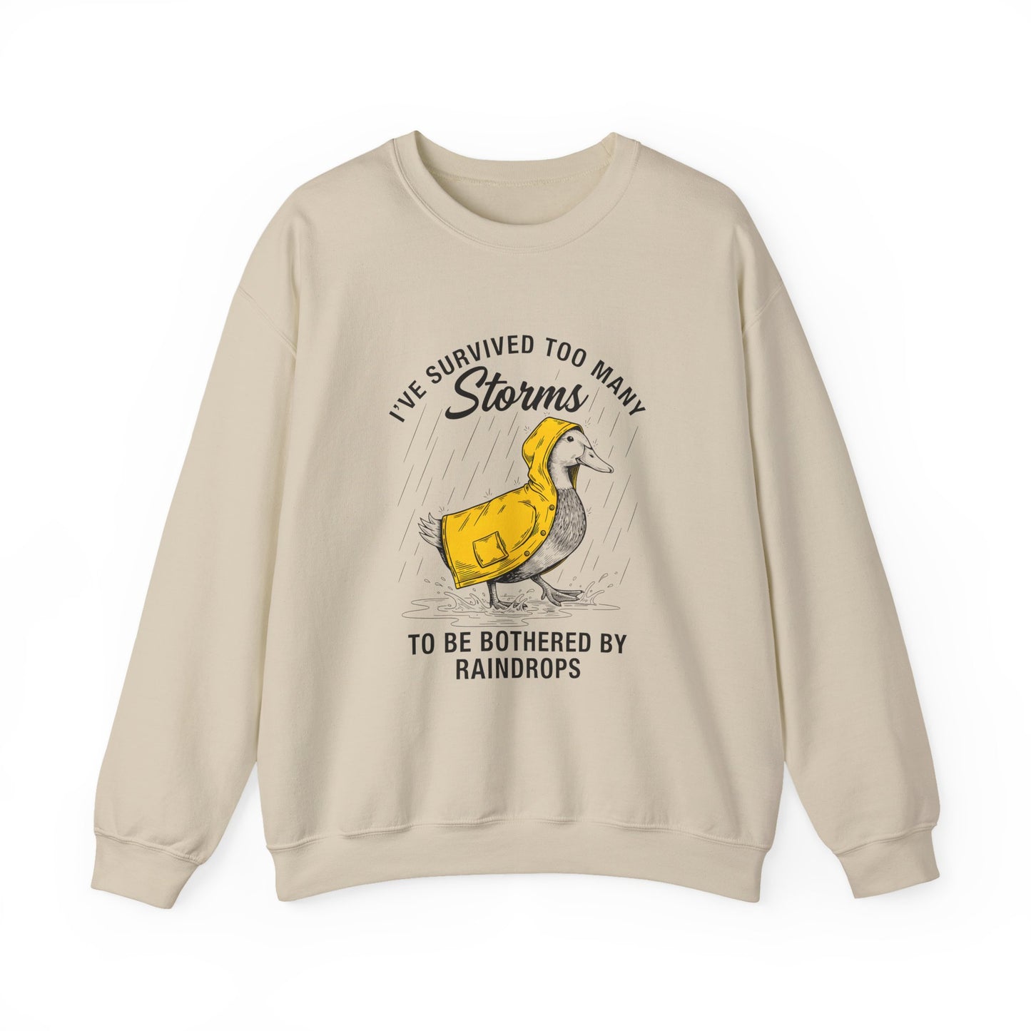 I have Survived Too Many Storms to Be Bothered by Raindrops sweatshirt