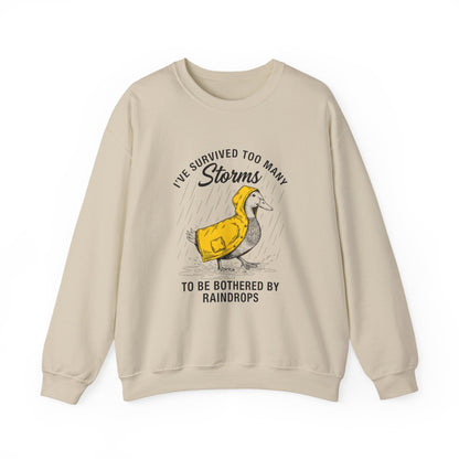 I have Survived Too Many Storms to Be Bothered by Raindrops sweatshirt