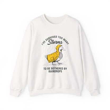 I have Survived Too Many Storms to Be Bothered by Raindrops sweatshirt