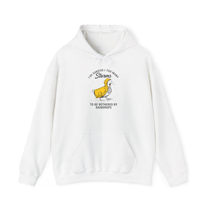 Seagull in Raincoat illustration Hoodie | i am Sorry I Took So Long to Storms sweatshirt