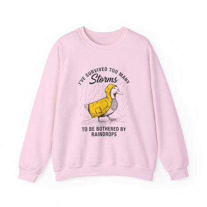 I have Survived Too Many Storms to Be Bothered by Raindrops sweatshirt